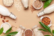 پشت پرده یک باور رایج؛ شیر بادام بهتر است یا شیر گاو؟